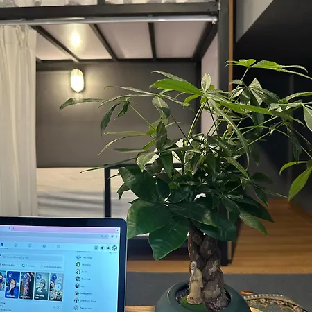 Hanoi Homestay27